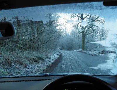 Зимний Карнавал: Картинка из окна машины
