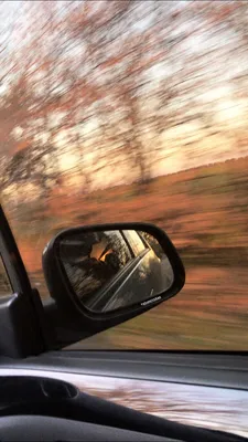 Зимний Снежный Драйв: Фото из окна машины в движении