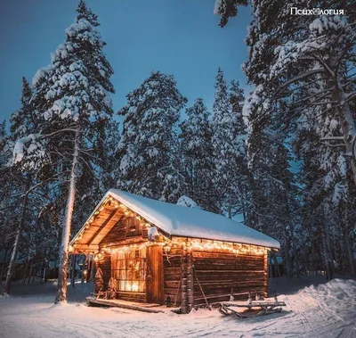 HD-фото заснеженного леса с избушкой - бесплатно