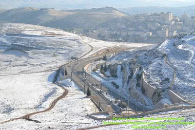 Фотоальбом израильской зимы: Разнообразие форматов и размеров