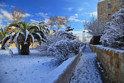 Зимний Израиль в фотографиях: Форматы JPG, PNG, WebP доступны