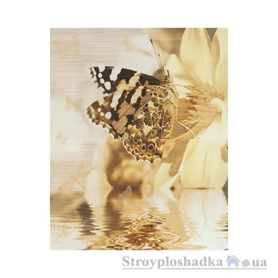 Кафель с бабочками: фотографии в высоком разрешении для уникального стиля