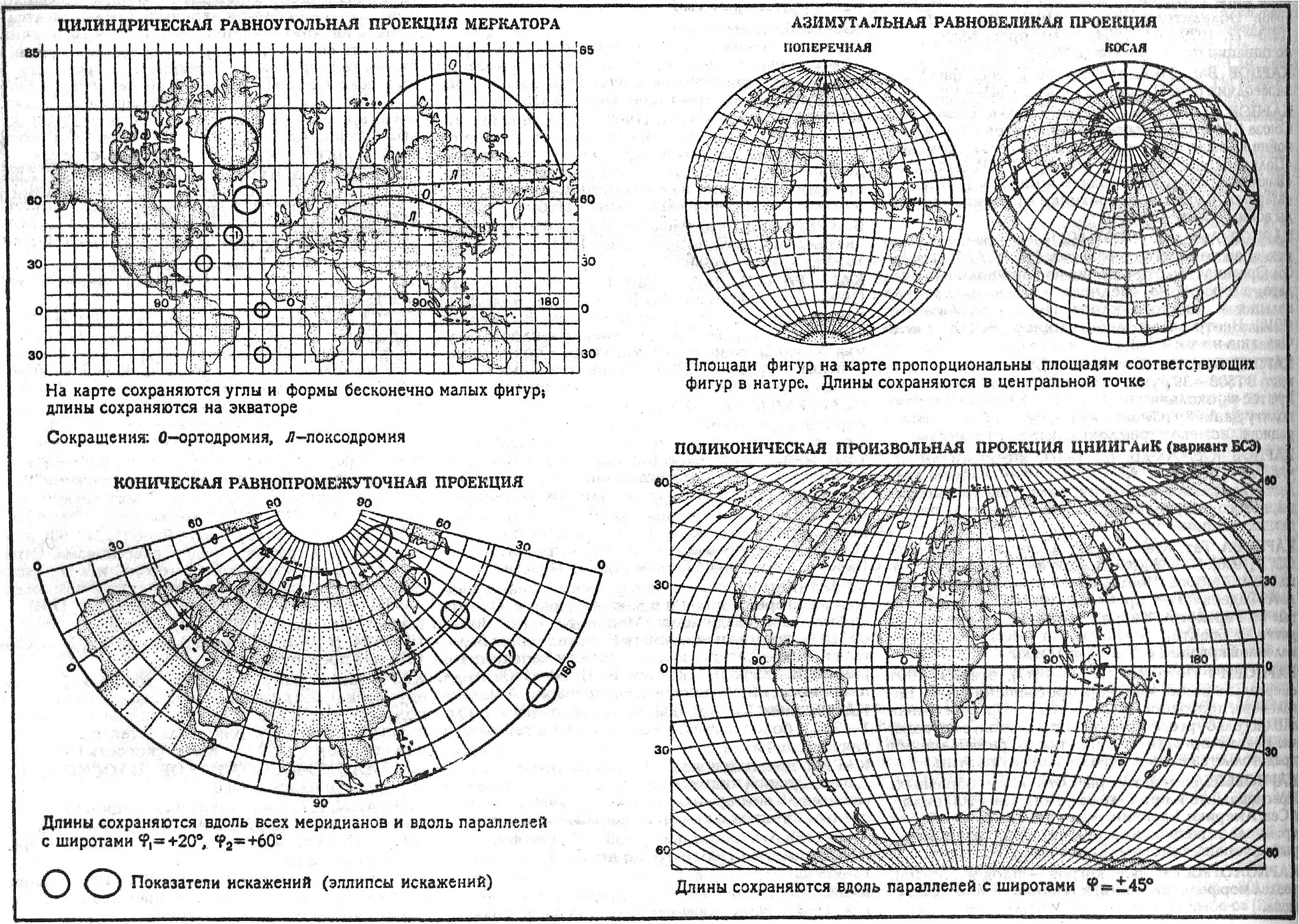 Проекции и искажения на картах. Равноугольная проекция карты. Равноугольная цилиндрическая проекция. Цилиндрическая равнопромежуточная проекция.