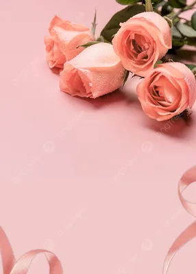 Как выбрать наилучший размер для фото с розами