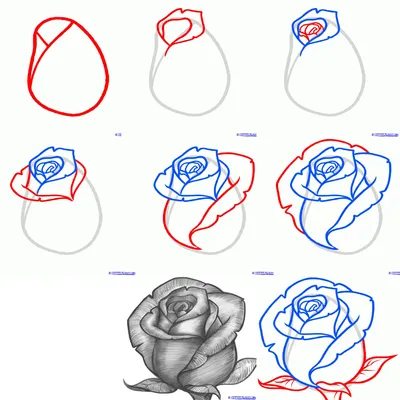 Фотография розы с макрообъективом: увидьте красоту деталей