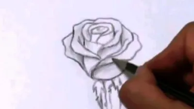 Как создать гиперреалистичную фотографию розы: секреты профессионалов