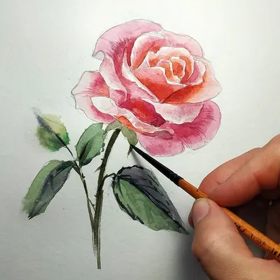 Как нарисовать розу в стиле карикатуры: добавьте юмор в свои работы