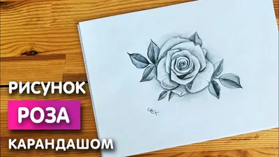 Как рисовать розу в цветных карандашах: играйте с яркими оттенками