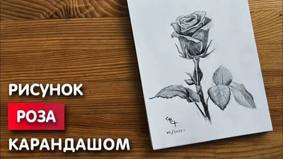 Рисуем розу с использованием точечной техники: создайте уникальное изображение