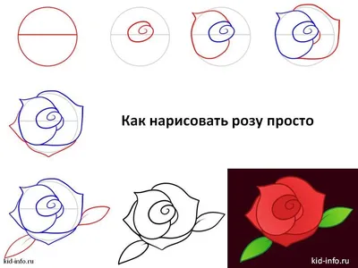 Как нарисовать розу в стиле акварели: пошаговое руководство