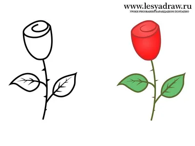 Рисуем розу маслом: методы и советы от профессионалов