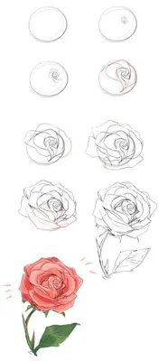 Рисуем розу на холсте: техники и приемы