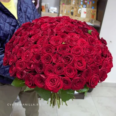 Привлекательная картинка букета из 101 розы