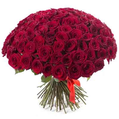 Очаровательная картинка букета из 101 розы