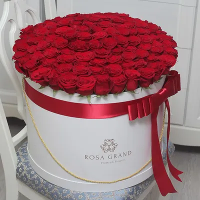 Очаровательная картинка букета из 101 розы
