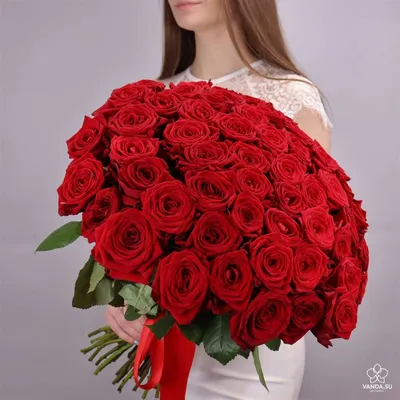 Картинка букета из 51 розы: безупречная гармония цветов