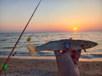 Фото Азовского моря: Черное ухо