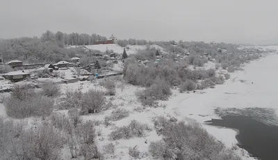 Фотографии различных видов водных обитателей - рыб в океане