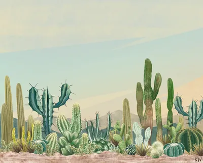 Кактусы пустыни: фотографии, которые покажут вам их неповторимую красоту