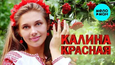 Калина красная - HD изображения