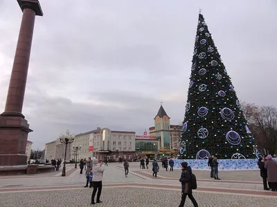 Загадочная зима: Калининград в фотографиях с разными размерами.