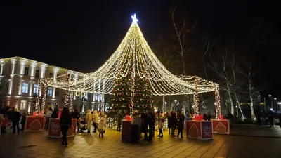 Новогодний фотоальбом Калининграда: разные размеры для вашего выбора.