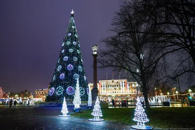 Фотоальбом Калининград в новогоднем свете: выбирай формат и размер.