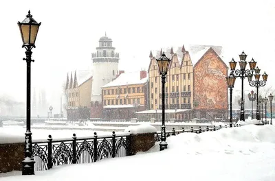 Калининград зимой: Великолепие морозного города