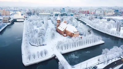 Калининградский зимний портрет: Фотографии горожан в снежных красках