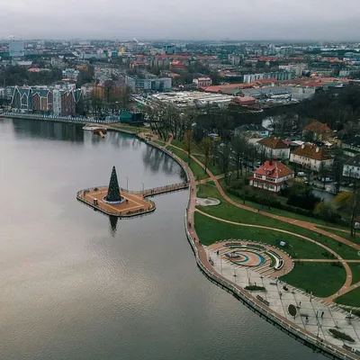 Зимний Калининград: Фото уютных кафе и ресторанов