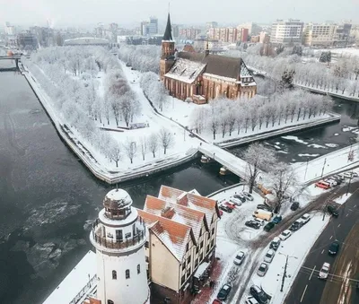 Зимние прогулки по Калининграду: Фото семейных моментов
