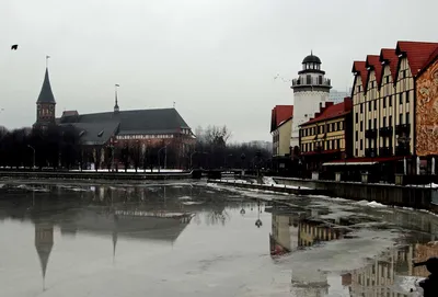 Калининград зимой: Ледяные красоты и морозные узоры