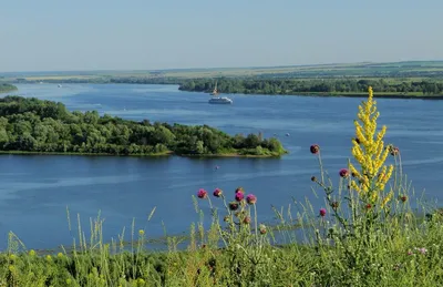 Фото утреннего пейзажа в хорошем качестве