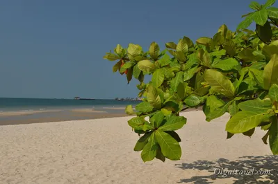 Картинки Камбоджи моря: красота в каждой фотографии