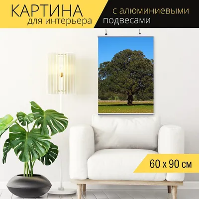 Фотка с камфорным деревом в гиф формате