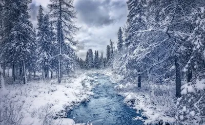 Зимний аромат: Фотографии северного воздуха Канады
