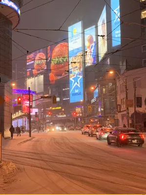 Фотоальбом Снежное наслаждение: Канадские моменты