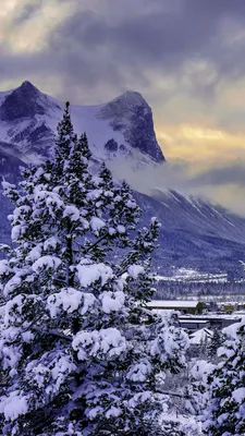 Зимний фотомагнит: Пленительные кадры Канады