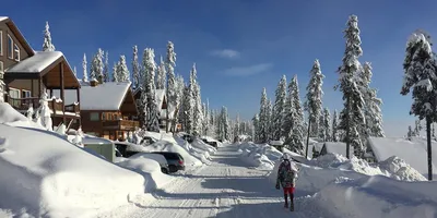 Зимний фотосюжет: Природные зарисовки Канады