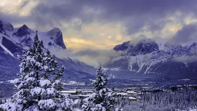Зимний фотогламур Канады: Очарование морозного света