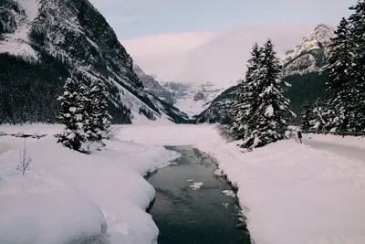 Зимняя палитра: Красочные фотографии Канады