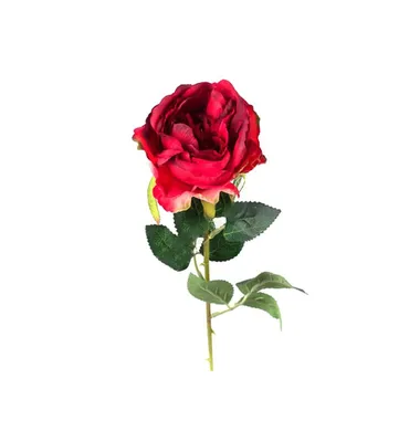 Фото капустной розы в формате jpg: идеальное для печати