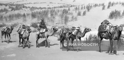 Великолепие пустыни в фотографиях Каравана: удивительные пейзажи