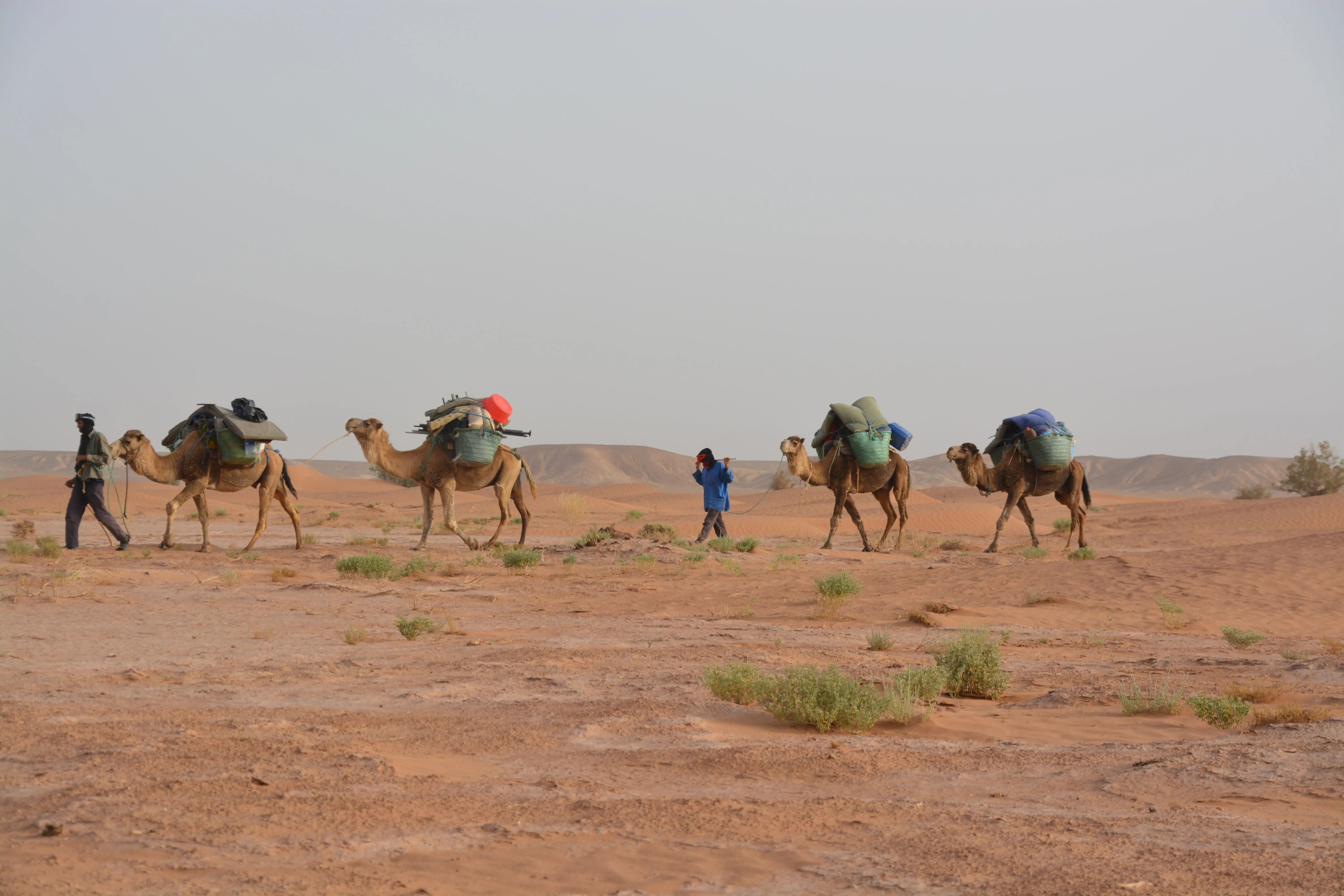 Караван путешествий. Путешествие на верблюдах. Караван в пустыне. Аравийские пустыни Караван. Путешествие по пустыне.