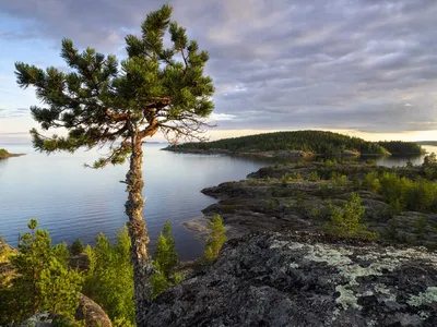 Фото Карелии: Ладожское озеро - загрузка в JPG, PNG, WebP