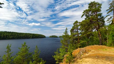 Карелия ладожское озеро - великолепные изображения.