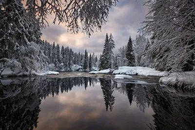 Зимние Виды в Карелии: Наслаждайтесь Фотографиями