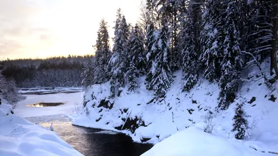 Очарование Карельской Зимы: Скачать Фотографии