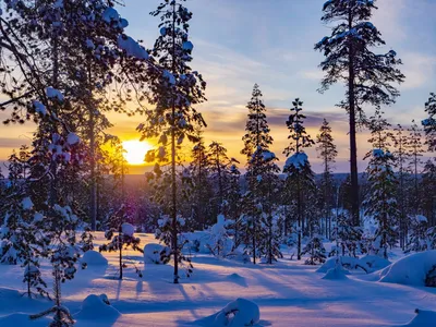 Зимние Фото Карелии: Откройте Красоту Зимы