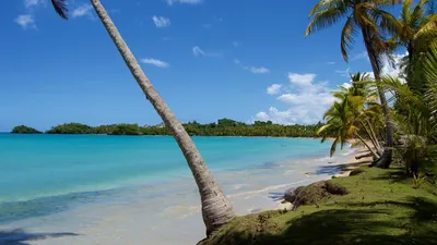 Фото Карибы пляж - скачать бесплатно в формате JPG